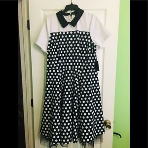 Fit and flare polka dot dress